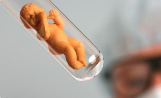 试管人工移植冻胚周期4个步骤解析具体操作